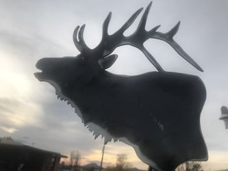 Elk 1/8” thick steel