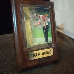 Tiger Wood's Upper Deck Tiger's Tales 05/28/00