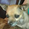 Erick