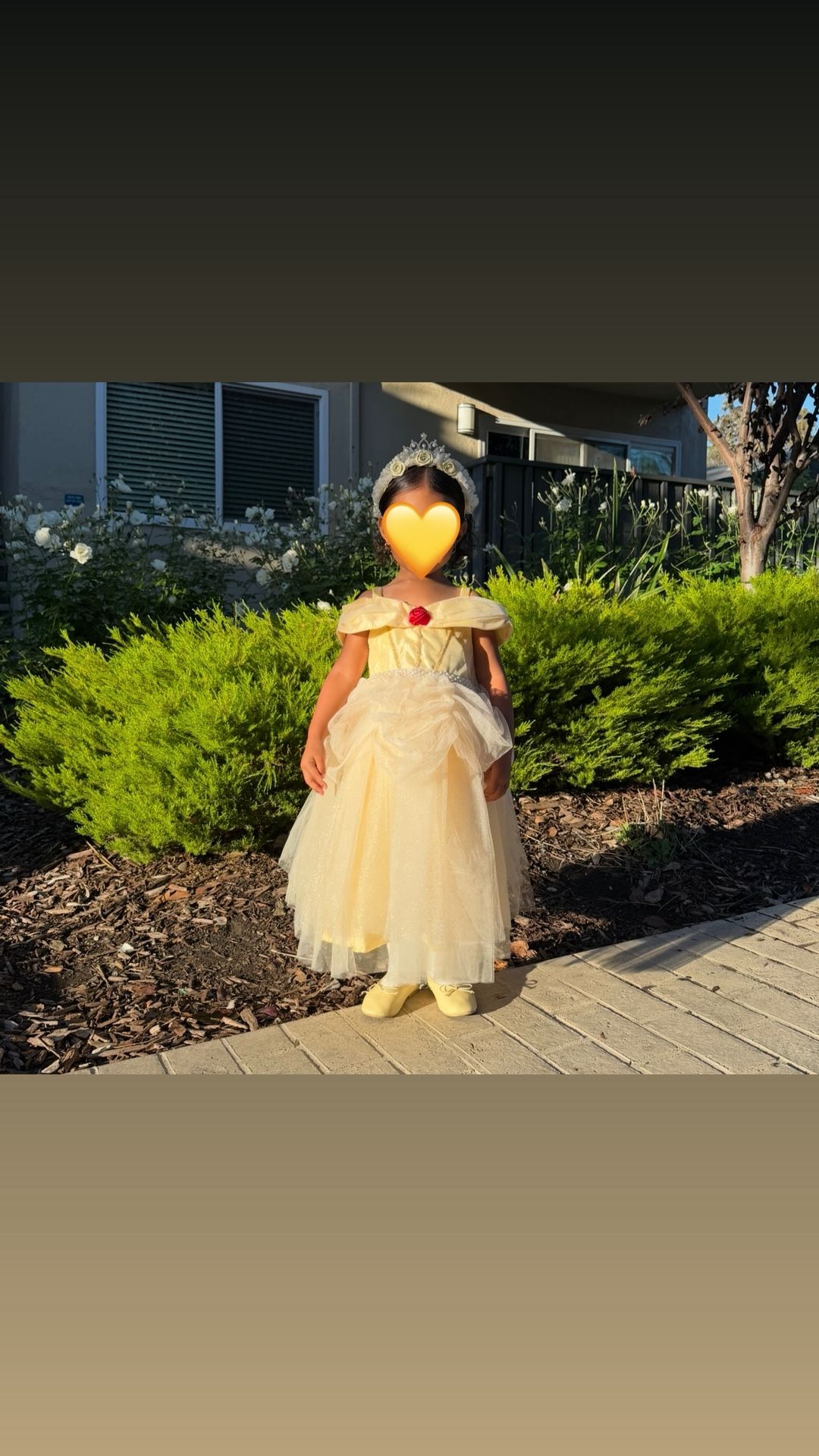 Disney Princess Belle Costume 3T