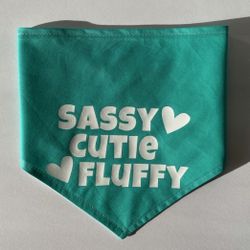 Sassy Dog Bandana | Cat Bandana 