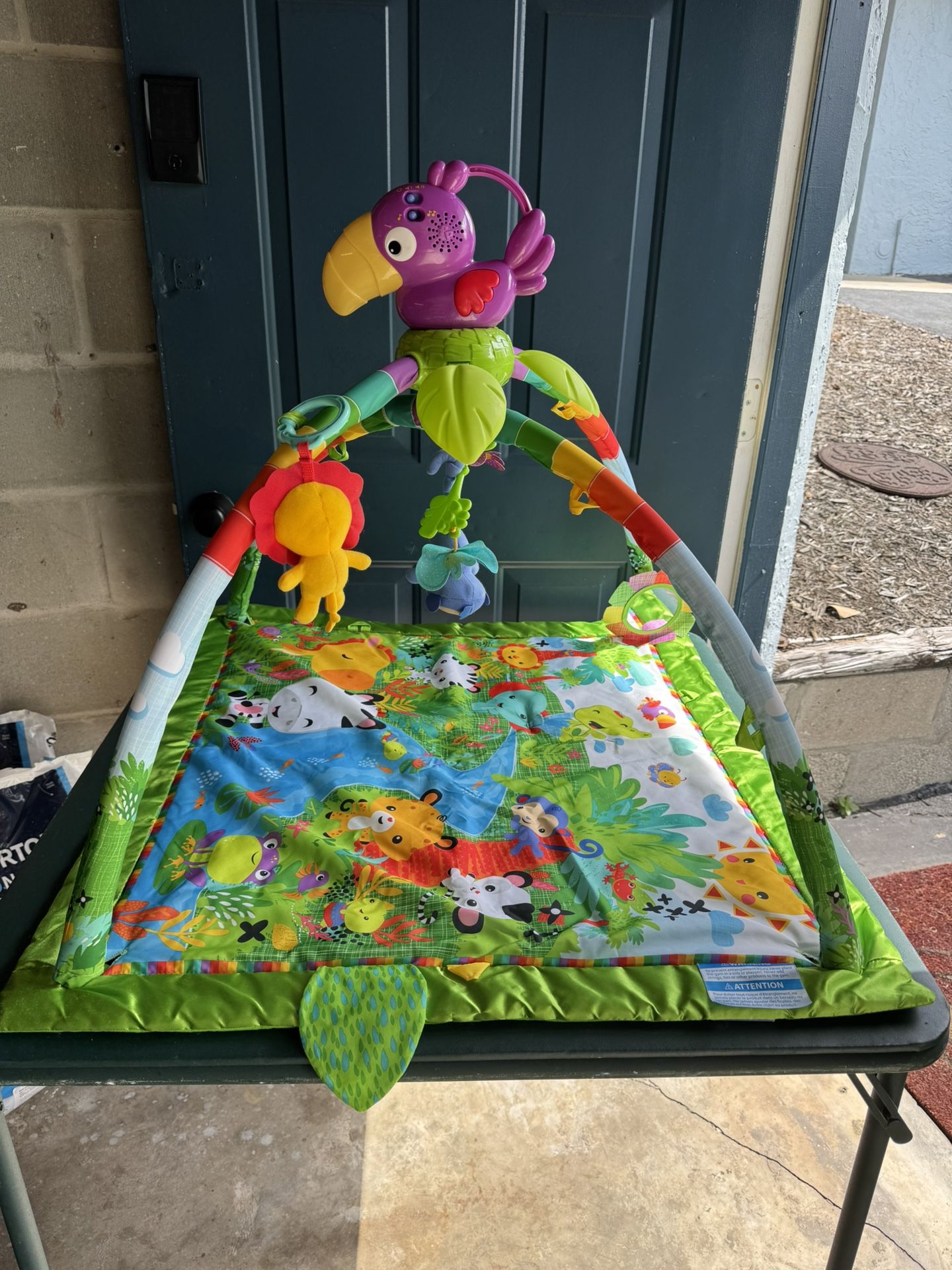Fisher-Price Baby Playmat Rainforest Music & Lights Deluxe Gym with 10+ Activities & Toys for Developmental Play for Newborns Ages 0+ Months Location