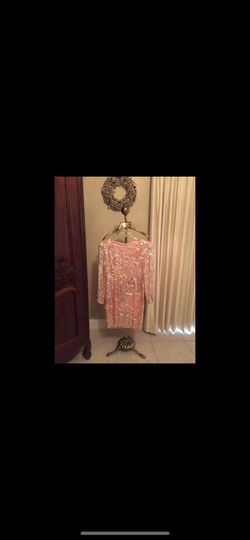 Pink dress  Rosado Lentejuelas  Pillows