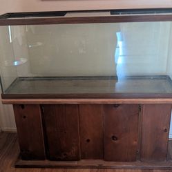55 Gallon Aquarium