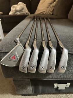 Golf Iron Set Complete (top Flight)