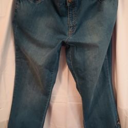 Woman Within Stretch Blue Jeans Floral Embroidery 22 W 