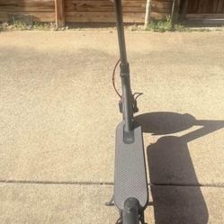 Scooter Xiaomi 365 Ebike 