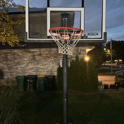 Lifetime Portable Basketball Hoop