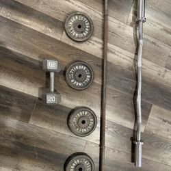 Curl Bar, Barbell, Weights