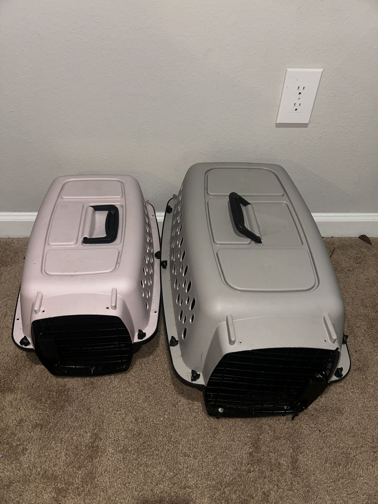 pet carrier 
