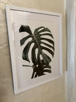Wall Art - Plant 