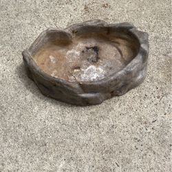Water Dish