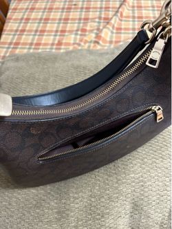 Teri Hobo Bag Signature Canvas