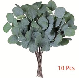 10 eucalyptus stems