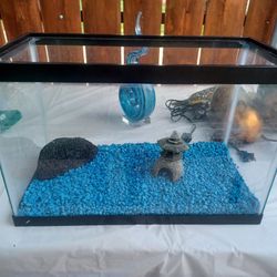 Fish Tank With Rocks And Decor