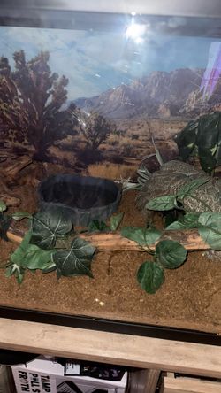 50 Gallon Tank Snake Or Fish Tank