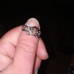 Sterling Silver Ring