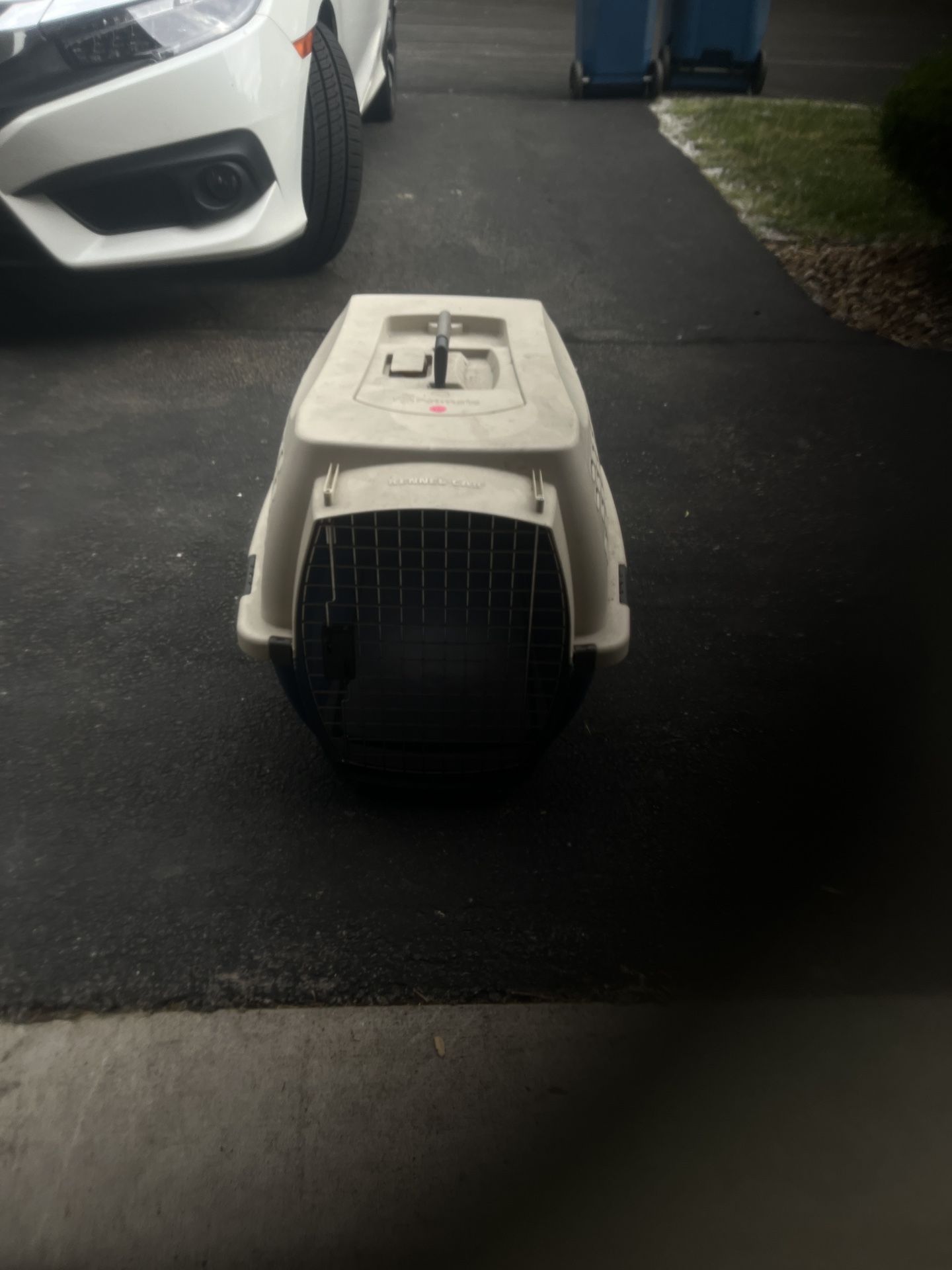 Dog Or Cat Cage
