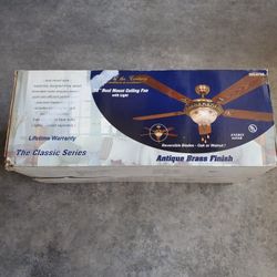 Ceiling Fan/ Ceiling Lights