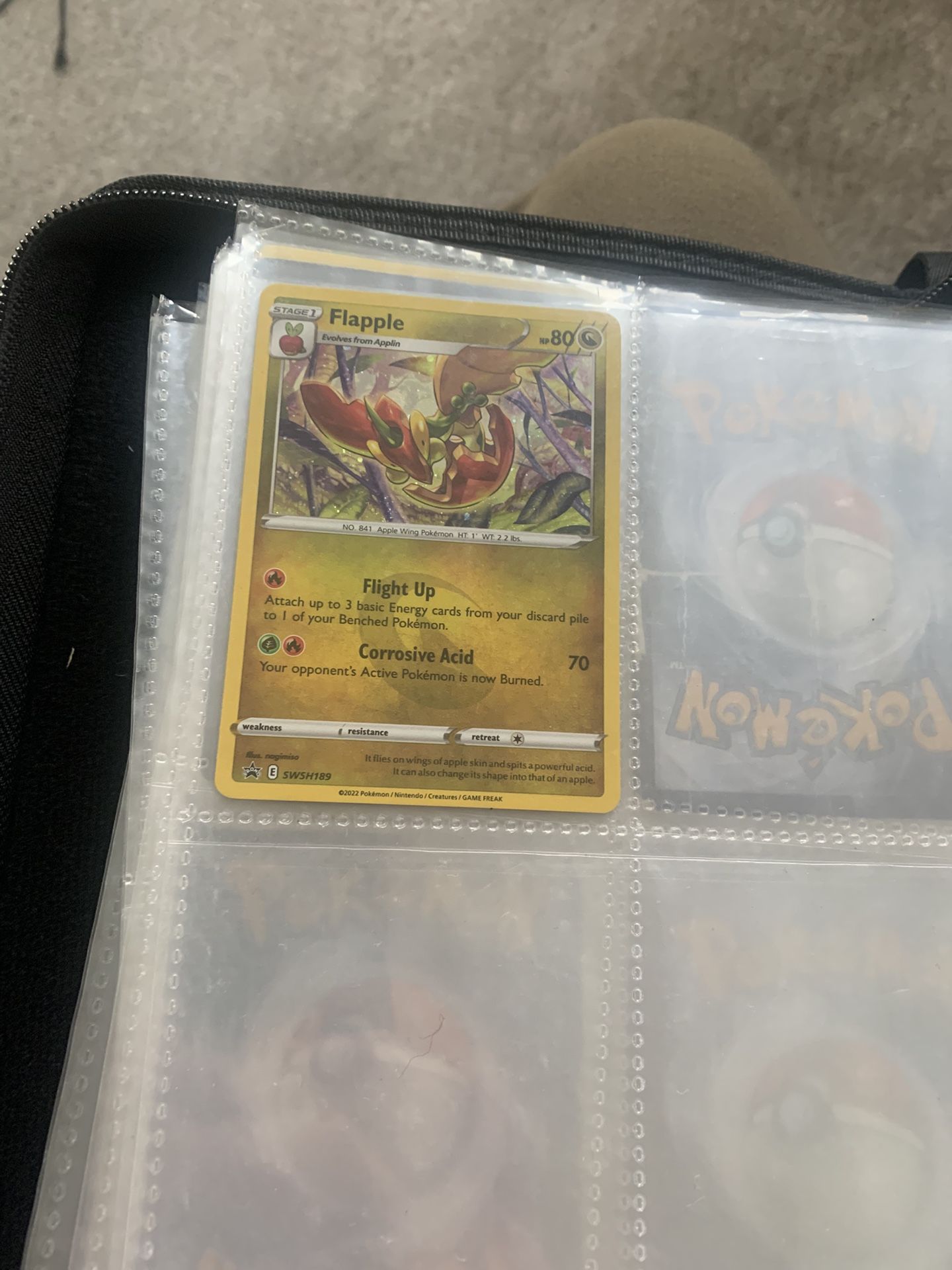 Old Pokémon Collection