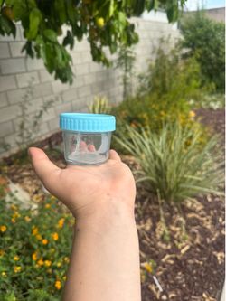 Baby food jar