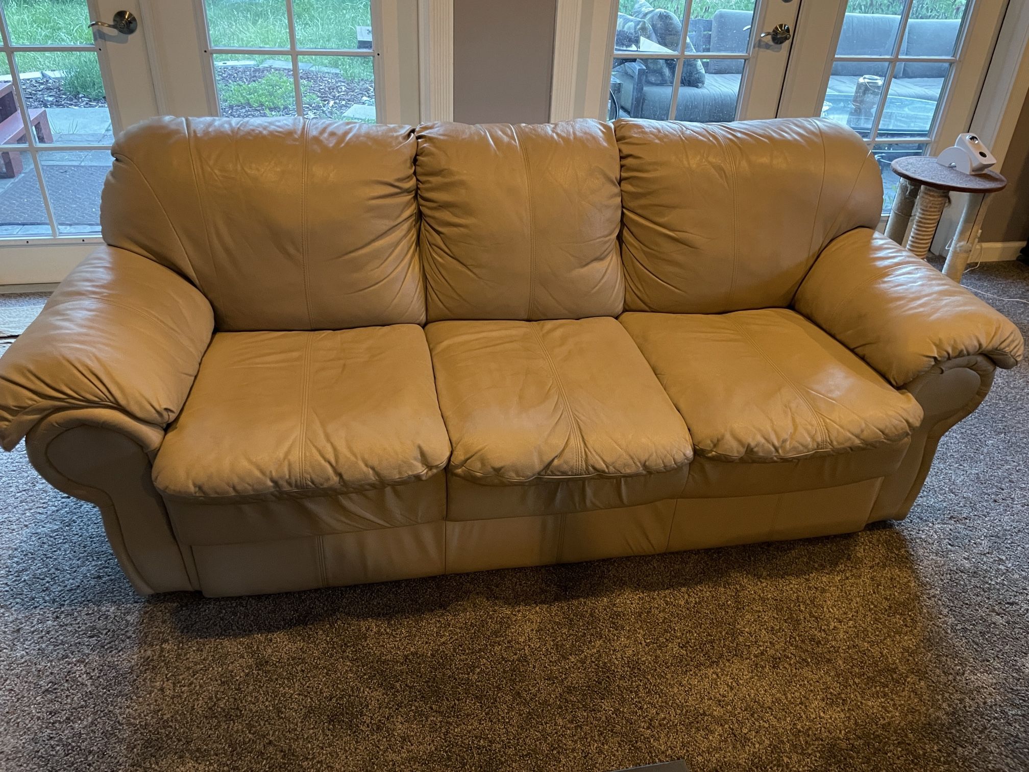 Free Leather Couch
