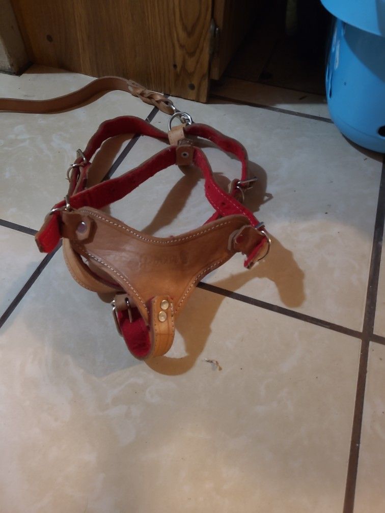 100% Cow Raw Hide Leather Harness/Dog Walker With Leash 