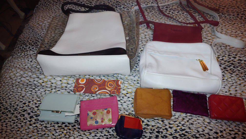 Tote Bag/small wallets/pouches