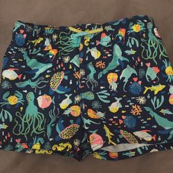 12 Month Swim Suit 