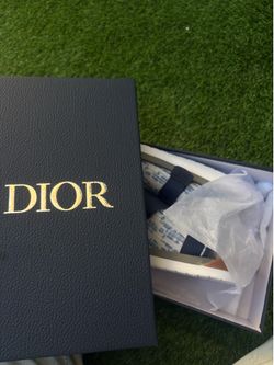 Dior slides