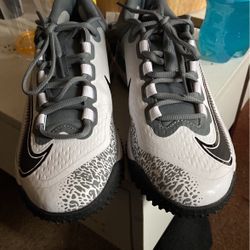 Dragon Nike 