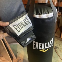 Everlast Punching Bag With Gloves And Wraps