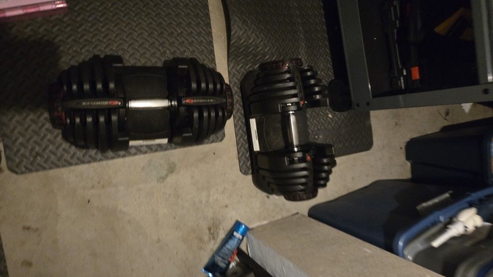 1090 Bowflex Dumbells Pair