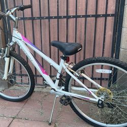 Nishiki Bike Bicycle 13” 