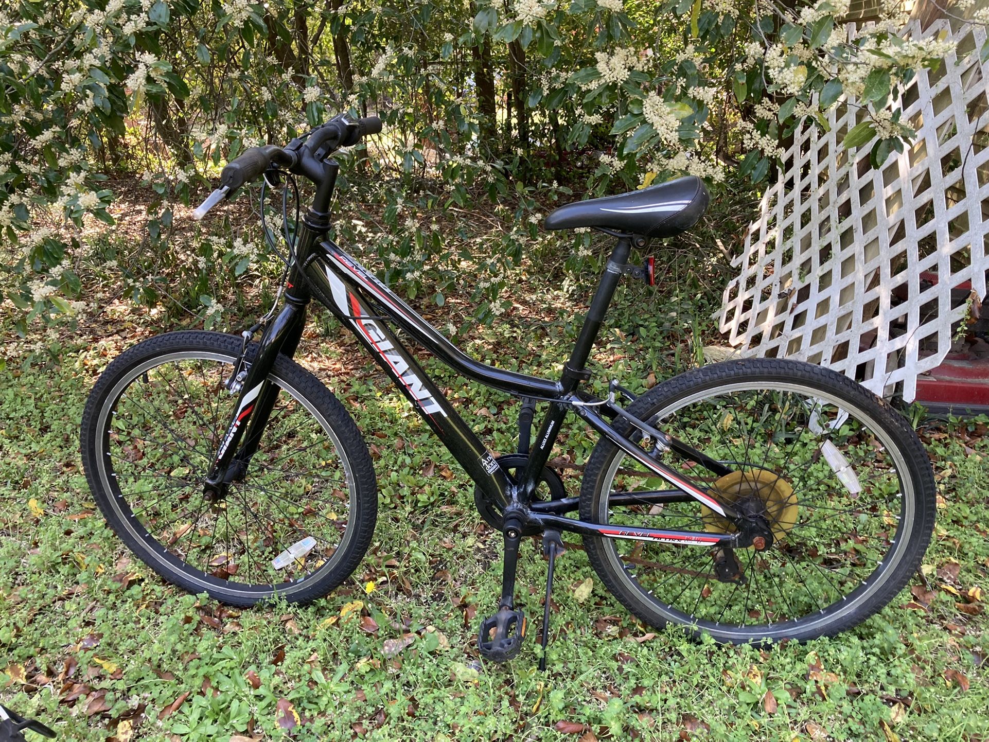 Giant rebel 26” Women’s Bike