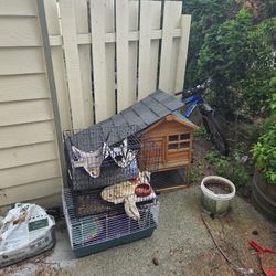 Animal House