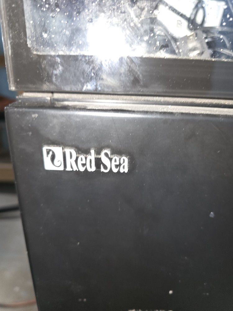 Red Sea Fish Tank