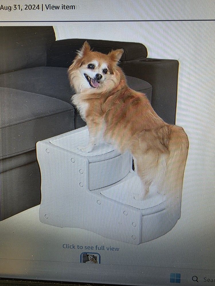 New Dog Stairs