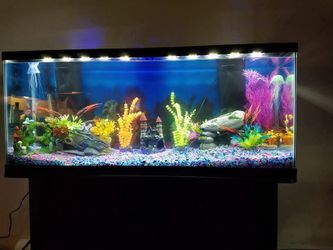 55 gallon tank bundle