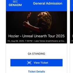Hozier Tickets (Two)