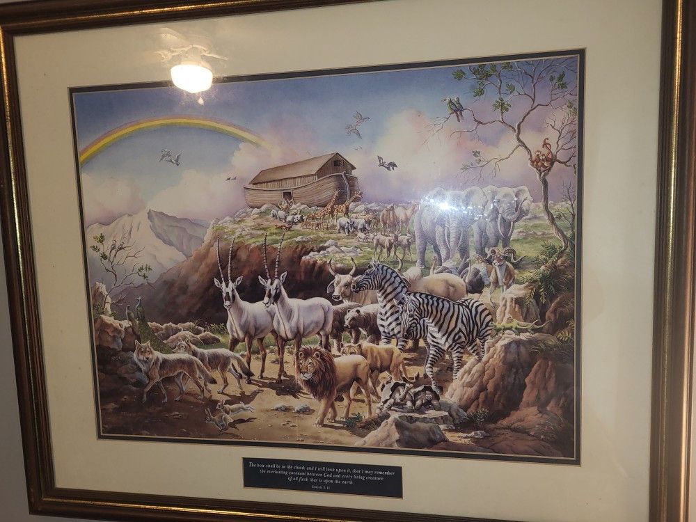 Noah's Arc Framed Print