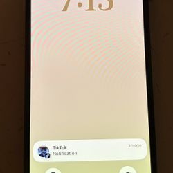 iPhone 13 Midnight Blue 