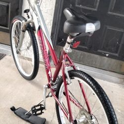 Specialized Aluminum MTB
