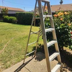 6 Foot Ladder