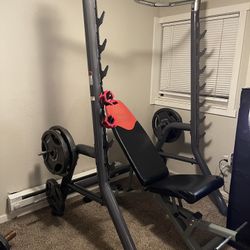 Squat Stand - Squat Bench Press Combo w/ Weights