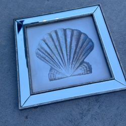 Seashell Wall Decor