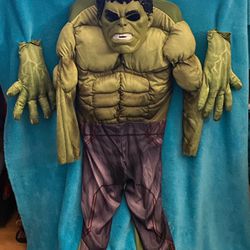 Boys Hulk Costume 