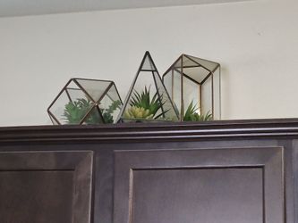 3 glass/succulent decor pick up only