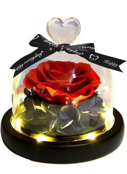 Flor eterna (rosa/clavel) rosa preservada para siempre con luces LED, rosa infinita en cúpula de cristal, regalos románticos para mujer
