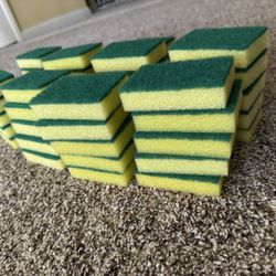 Sponges